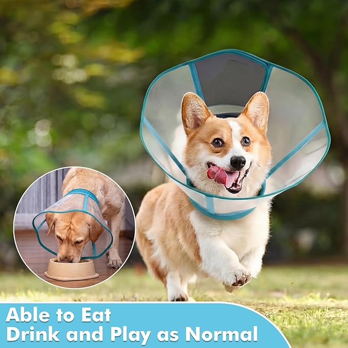 Allroaring Dog Cone, Adjustable Cones for Small Dogs, Soft Dog Cone Collar to Stop Licking, Comfy Pet Recovery Collars & Cones Alternative for After Surgery Wound Healing, Bluegreen S