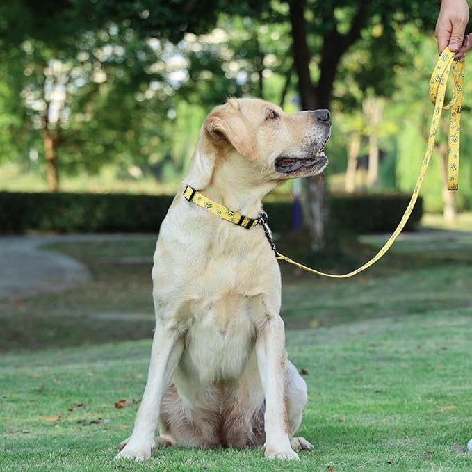 Dog Collar Leash Set, Busy Bee Pattern, 5ft Matching Leash, Polyester Material, 4 for Small Medium Large Dogs.(L, Bee)