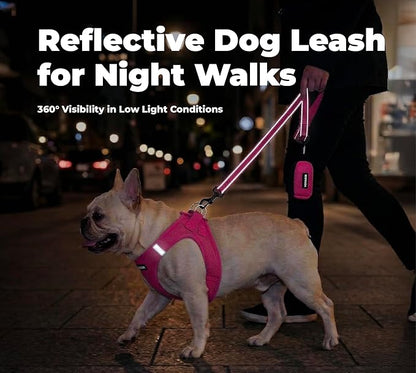 Best Pet Supplies Voyager Reflective Dog Leash or Collar with Neoprene Handle, for Small, Medium, and Large Breed Puppies, Cute and Heavy Duty for Walking, Running and Training - Fuchsia (Leash), L