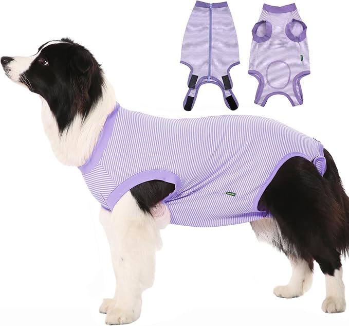 Dog Recovery Suit Purple Female Spay Surgical Small Shirt, Male Surgery Recovery Suit,Purple-White Striped S