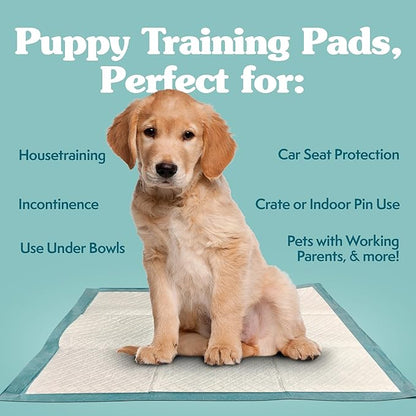 Simple Solution Extra Large Pee Pads For Dogs, Puppy Potty Training, Leak Proof Dog Pads, Pet Pee Pad, Disposable Puppy Pad, XLARGE 28"x30"