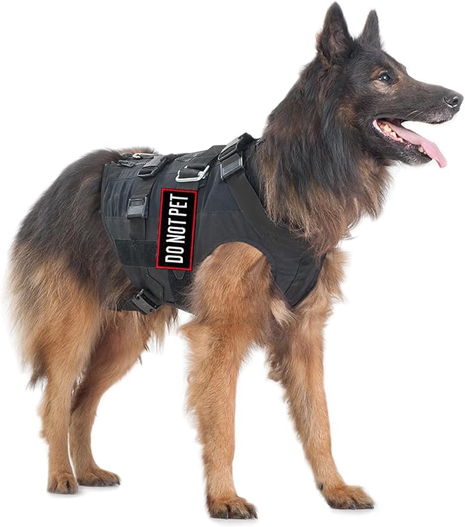 Pistha 12 Pieces Removable Tactical Dog Harness Service Dog Vest Patches Do Not Pet in Training and Emotional Support Dog Vest Patches(3.6 x 1.6Inch)