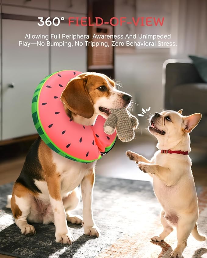 MIDOG Dog Cone Collar for Large Medium Dogs, Soft Inflatable Dog Cone Alternative After Surgery, Adjustable Protective Recovery Cone - Alternative E Collar Does Not Block Vision (Watermelon,S)