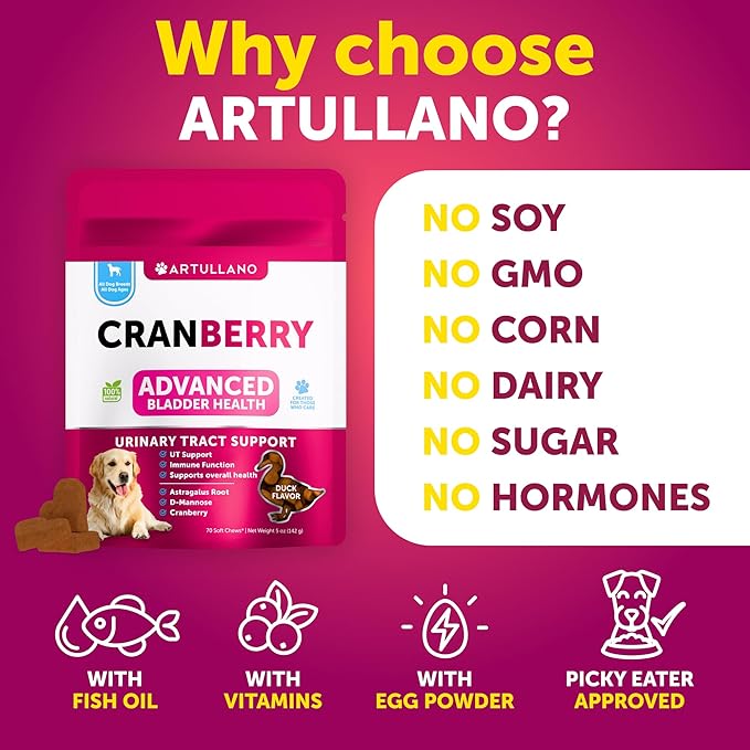 Dog UT Treats - Cranberry Chews for Dogs - Urinary Tract & Bladder Support Supplement with Natural Cranberry Extract - Tasty 70 Soft Bites for Daily Wellness with Fish Oil, Pumpkin, D-Mannose