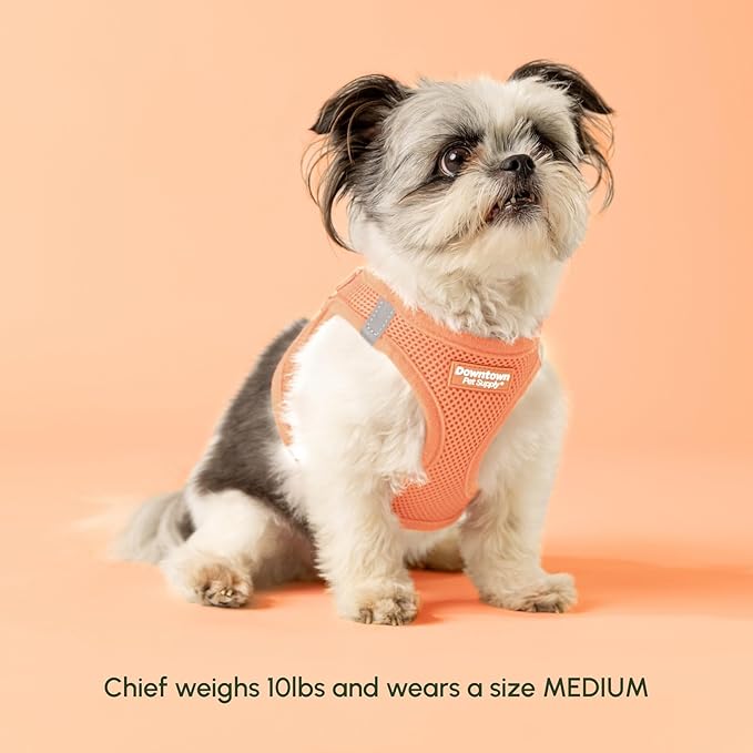 Downtown Pet Supply Step in Dog Harness for Large Dogs - Adjustable, Escape Proof Dog Harness with Reflective Trim - All-Weather, Fast-Drying Padded Mesh Fabric - Tangerine, XX-Small