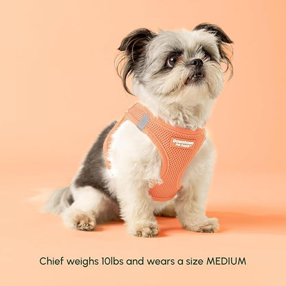 Downtown Pet Supply Step in Dog Harness for Large Dogs - Adjustable, Escape Proof Dog Harness with Reflective Trim - All-Weather, Fast-Drying Padded Mesh Fabric - Tangerine, XX-Small