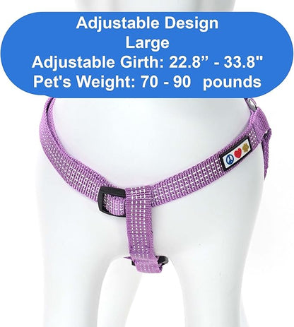 Pawtitas Reflective Step-in Dog Harness – Adjustable No-Pull Vest for Puppies to Seniors, Safe & Comfortable, L Orchid