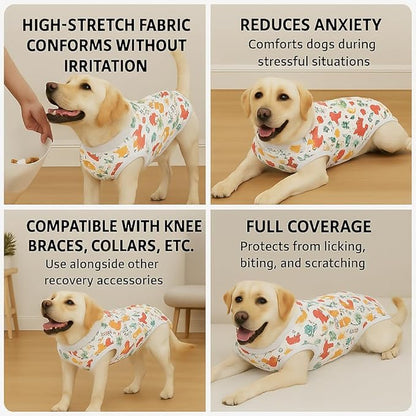 PetWarm Post Neuter Surgery Suit for Dogs Male, E Collar Alternative for Dogs After Surgery, Anti-Licking Dog Surgery Recovery Suit Dog Bodysuit, Dinosaur Pattern, White, 2XL