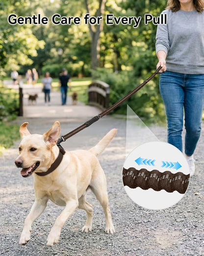 Joytale Tactical Dog Leash Heavy Duty, 4-6FT Shock Absorbing Bungee Lead with 2 Padded Handle, Metal Carabiner Clip, Car Seatbelt, Strong No Pull Leash for Medium Large X-Large Dogs, Brown