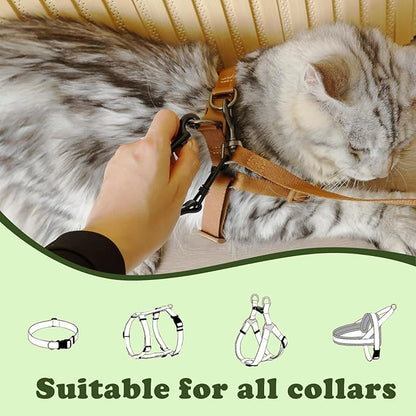Dog Safety Clip for Prong Collar, Waterproof Leash Backup Clip Connector, Dual Clasps Rotating Buckle for Pinch Collar (2 Pcs)