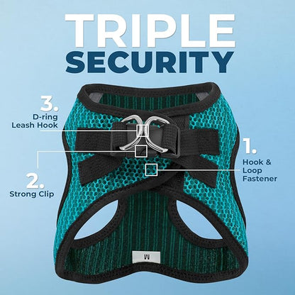 Best Pet Supplies Voyager Step-in Air All Weather Mesh Harness and Reflective Dog 5ft Leash Combo with Neoprene Handle, for Small, Medium and Large Breed Puppies - Set (Turquoise 2-Tone), Large
