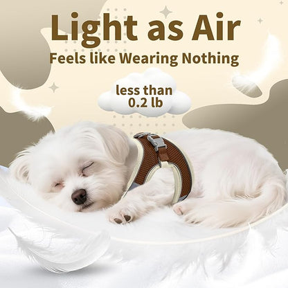 AIITLE Easy Walk Dog Harness and Leash Set - Pet Supply No Pull, Step in Adjustable Dog Harness with Padded Vest, Dog Harness No Choke Over, Easy to Put on Medium Dogs Beige L