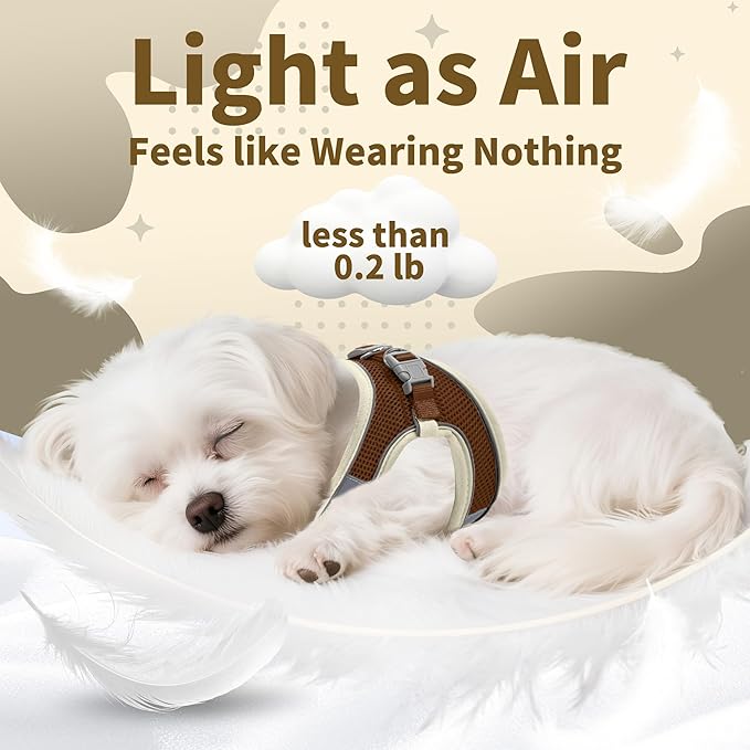 AIITLE No Pull Dog Harness and Leash Set, Step in Adjustable Dog Harness with Padded Vest for All Weather, Dog Leash with Soft Padded Handle, Easy to Put on Small and Medium Dogs Beige S