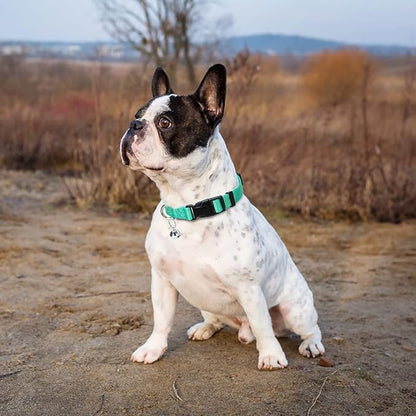 PUPTECK Adjustable Dog Harness Collar and Leash Set Step in No Pull Pet Harness for Small Medium Dogs Puppy and Cats Outdoor Walking Running, Soft Mesh Padded Reflective Vest Harnesses, Solid Green XS