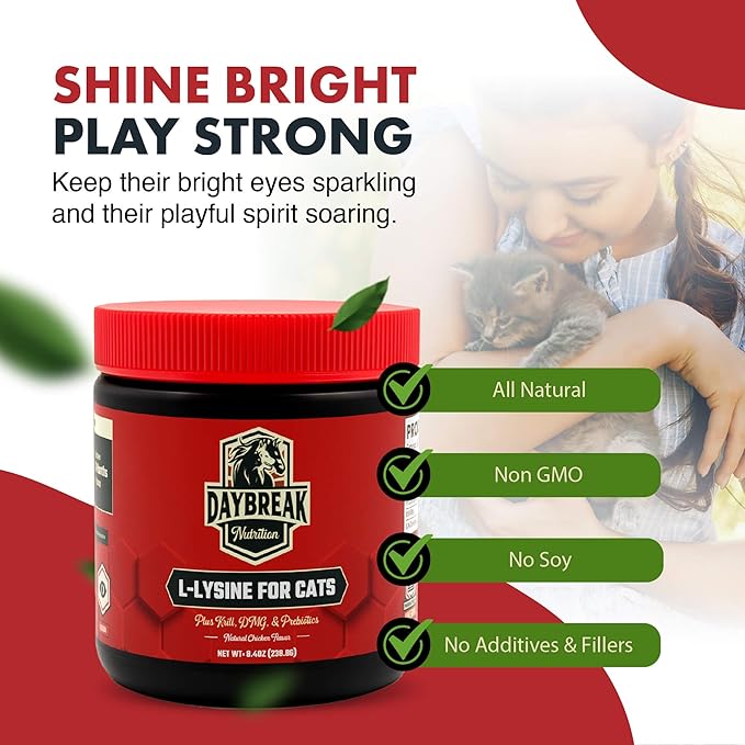 Daybreak Nutrition Lysine for Cats 900mg Powder - L-Lysine with 4 Active Ingredients for Immune and Respiratory Support - Made in USA Feline Supplement with 120 Servings