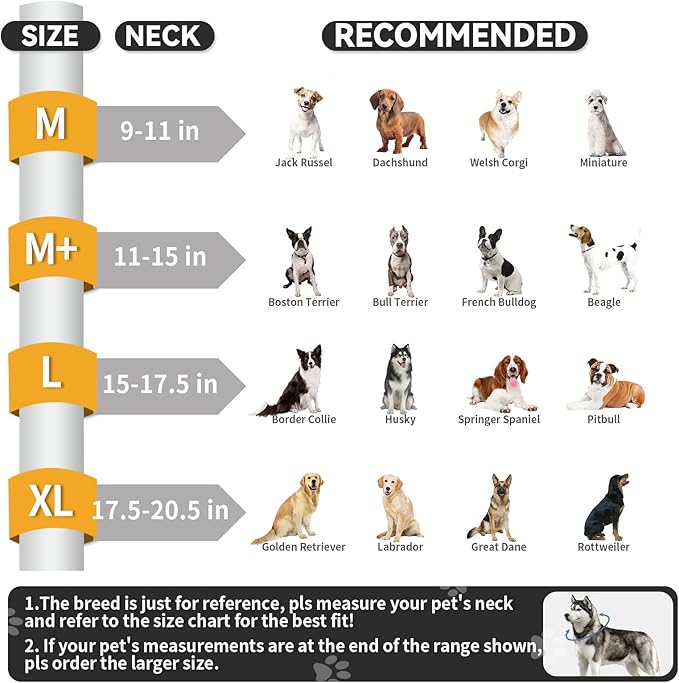 Upgraded Inflatable Dog Cone After Surgery, Adjustable Soft Dual-Ring Dog Cone Collar with Detachable Anti-Licking Shield (XL, Grey)