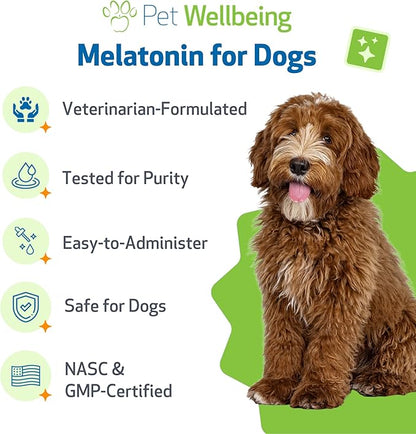 Pet Wellbeing Pet Melatonin for Dogs - Vet-Formulated Holistic Sleep Support - Healthy Sleep Patterns, Circadian Rhythm Balance - Liquid Melatonin Supplement - Made for Dogs 4 oz (118 ml)