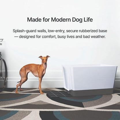 Indoor Dog Potty with High Walls and Low Entry for Small Dogs — Vertical Pad Holder, Splash Guard, and Clean Modern Design by DoggyBathroom (Regular, Dark Grey)