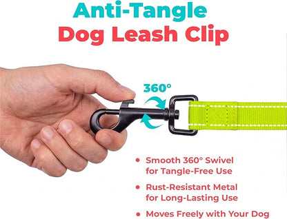 Best Pet Supplies Voyager Reflective Dog Leash or Collar with Neoprene Handle, for Small, Medium, and Large Breed Puppies, Cute and Heavy Duty for Walking, Running and Training - Lime Green (Leash), M
