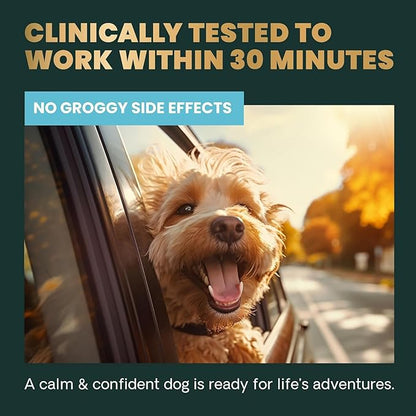 VetriScience Clinically Tested Composure Calm & Confident Chews - Supplement for Dogs with Anxiety, Stress & Fear with L-Theanine for Thunderstorms, Fireworks or Travel, Peanut Butter, 60 Count