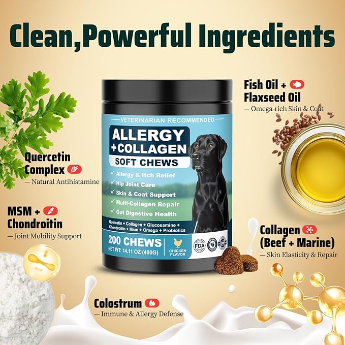 Dog Allergy Chews is Collagen Omega 3 Human Anti Itch Relief for Dogs Multivitamin Itching Skin Relief and Aller Immune Pet Allergy Chews Coat Licking Supplement Pills Meds Treats 200 Bites for Dogs