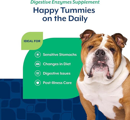 NaturVet – Digestive Enzymes - Plus Probiotics & Prebiotics – Helps Support Diet Change & A Healthy Digestive Tract – for Dogs & Cats (Soft Chews, 120 Count)