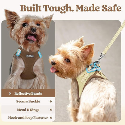 rabbitgoo Dog Harness Small Sized and Leash Set, Step in Soft Light Puppy Vest, Breathable Mesh Pet Harness, Reflective for Safe Easy Walking, Brown & Beige M