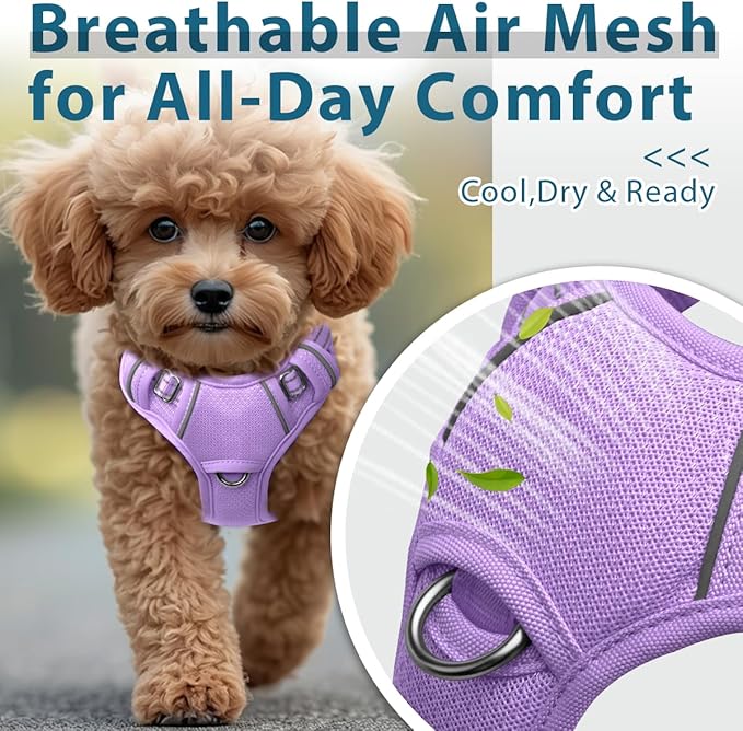 BARKBAY Dog Harness No Pull with ID Tag Pocket - Heavy Duty, Reflective, Easy Control for Large Dogs(Violet Purple,XS)