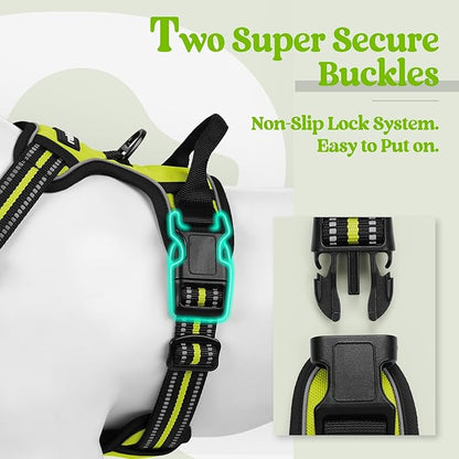 rabbitgoo Dog Harness No Pull with 2 Leash Clips, Adjustable Soft Padded, Reflective Oxford No Choke Pet Vest with Easy Control Handle for Large Dogs, Green, L