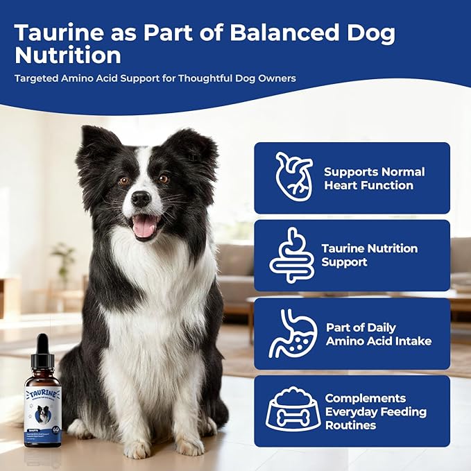 Taurine Supplement for Dogs Liquid Drops Amino Acid Support for Heart Health & Muscle Function, Easy to Add Canine Nutrition Supplement