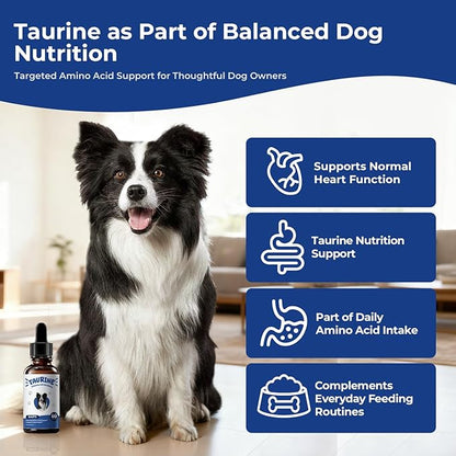 Taurine Supplement for Dogs Liquid Drops Amino Acid Support for Heart Health & Muscle Function, Easy to Add Canine Nutrition Supplement