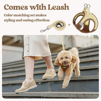 rabbitgoo Dog Harness Small Sized and Leash Set, Step in Soft Light Puppy Vest, Breathable Mesh Pet Harness, Reflective for Safe Easy Walking, Brown & Beige S