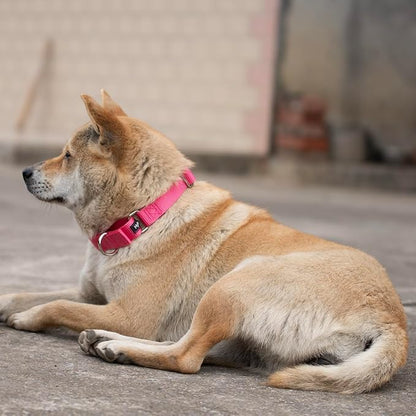 Hyhug Martingale Collar for Dogs Small Pink |Escape - Proof Heavy Duty Nylon Durable No Buckle, Ideal for Training & Daily Walks