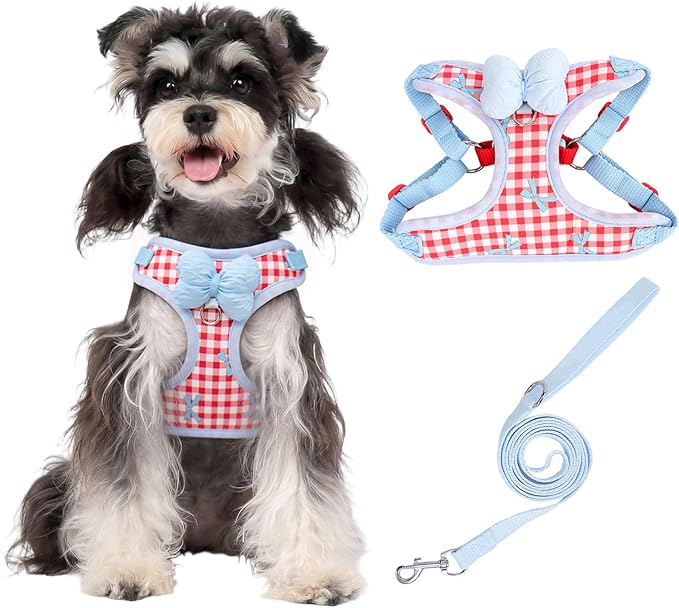 Coppthinktu Dog Harness for Small Sized Dogs, Puppy Cat Harness with Leash Set No Pull Dog Harness Adjustable Reflective Step-in Pet Vest Harnesses with Cute Bow Soft Padded Outdoor Walking