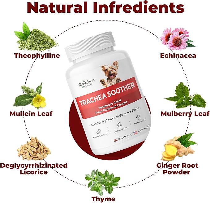 Kennel Cough Treatment, Cough Relief for Dogs, Helps Ease Coughing from Tracheal Collapse, Dry & Wet Cough, Natural Soothing Herbs for Throat & Airway Comfort, Chicken Flavor - 120 Tablets