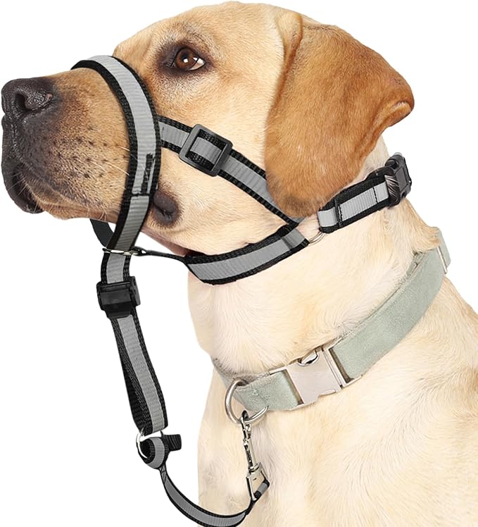 BARKLESS Reflective Head Collar, No Pull Collar for Small Medium Dogs, Anti-Pull Muzzle Leash for Puppy, Adjustable Soft Dog Halter, Nose Leash for Easy Control on Walks