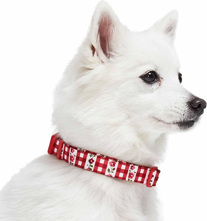 Blueberry Pet Spring Scent Inspired Dainty Flower Dog Collar, Red Check, Adjustable Dog Collar for Small Dogs, Size Small, Neck 12-16"