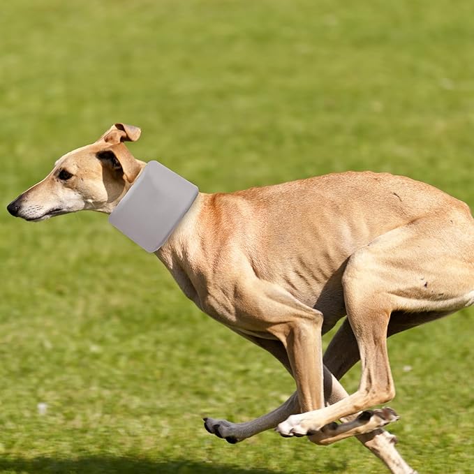 Dog Neck Brace for Pet After Surgery Recovery Adjustable Breathable Neck Cervical Cone，Dog Cone Collar Recovery Head Cone for Small Medium Dogs Puppies Kittens with Spinal IVDD Lssues (Gray,L)