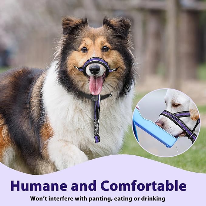 BARKLESS Soft Dog Head Collar, Patented Padded No Pull Head Halter, Training Nose Leash with Safety Link for Medium Large Dogs, Adjustable Muzzle Leash, Easy Control for Walking (L, Purple)