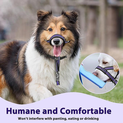 BARKLESS Soft Dog Head Collar, Patented Padded No Pull Head Halter, Training Nose Leash with Safety Link for Medium Large Dogs, Adjustable Muzzle Leash, Easy Control for Walking (M, Purple)