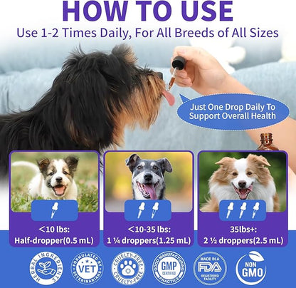 WEALLIN Dog Cough Treatment Support for Dogs - Dog Cough Care Natural Solution for Cough Natural Dog Cough Supplement Herbal Drops Support for All Breeds - 60 ml/2 Fl Oz