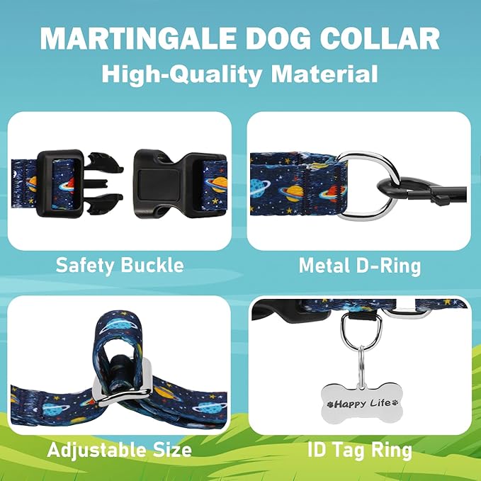 Martingale Dog Collars with Buckle No Slip Training Boy Dog Collar for Small Dogs (Blue Space, Small)