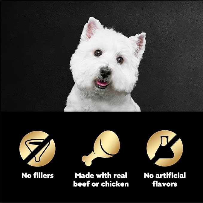 Cesar Filets in Gravy Wet Dog Food Filet Mignon Flavor and Rotisserie Chicken Flavor Variety Pack,Wet Food for Dogs,1.76 oz. Mini-Pouches,20 Count (Pack of 4)