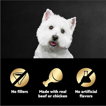 Cesar Filets in Gravy Wet Dog Food Filet Mignon Flavor and Rotisserie Chicken Flavor Variety Pack,Wet Food for Dogs,1.76 oz. Mini-Pouches,20 Count (Pack of 4)