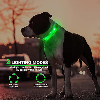 2 Pack LED Light for Dog Leash Harness, Light Up Dog Collar with Nylon Stickers, Waterproof Glow Light Easy to Attach to Collar Leash and Harness, Safety LED Light Up Band for Dogs at Night Walking
