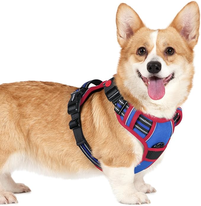 rabbitgoo Dog Harness Small Sized, No Pull Pet Harness with 3 Buckles, Adjustable Soft Padded Vest with Control Handle, Walking Reflective Pet Vest for Small Dogs, Royal Blue & Red, S