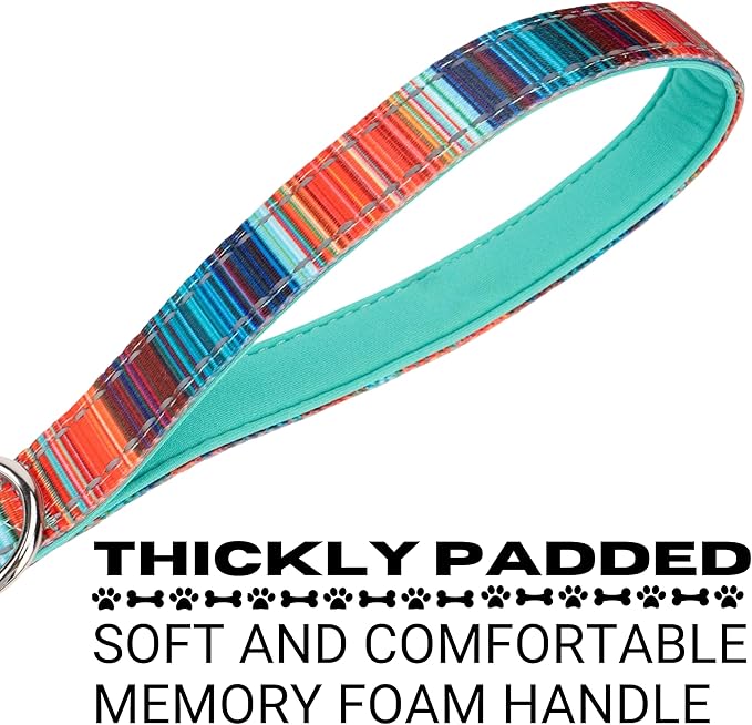 EcoBark Dog Leash - Soft & Reflective Comfort Leash with Padded Handle - Safe, Strong, & Durable for Small, Medium or Large Dogs (Multicolor Stripe)