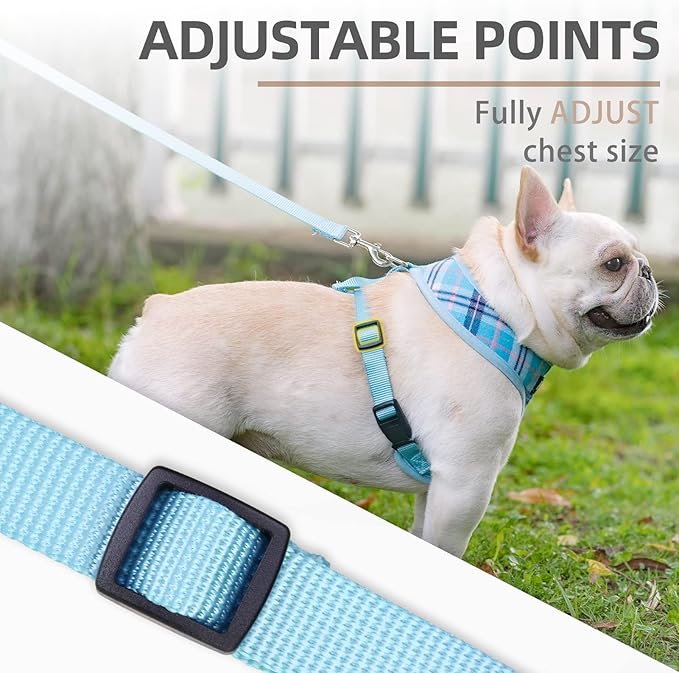 PUPTECK Soft Mesh Dog Harness and Leash Set Pet Puppy Cat Comfort Padded Vest No Pull Harnesses, Light Blue, S