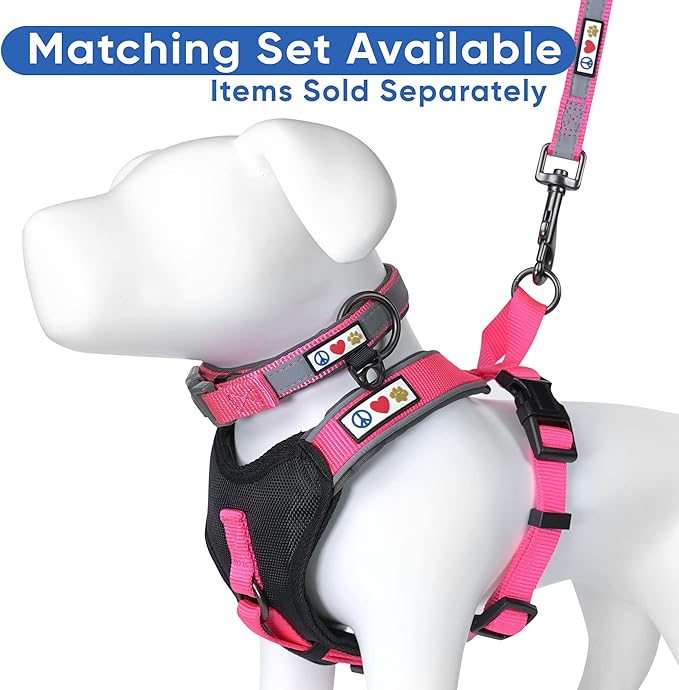 Pawtitas 6 FT Padded Dog Leash with Comfortable Neoprene Padding Handle - Pink Lead | Medium Reflective Dog Leash with Highly Reflective Band Perfect for Medium and Large Dogs and Puppies.