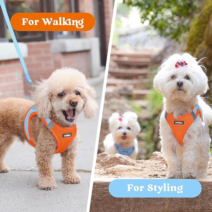 rabbitgoo Small Dog Harness, Step-in Soft Mesh Puppy Vest with Safety Buckle, Breathable Reflective Pet Harness for Small Medium Dogs, Blue & Orange XL